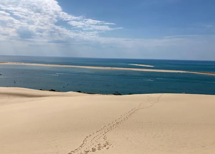 :Le tchanqué du bassin d\'arcachon