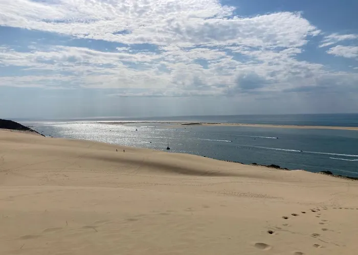 :Le tchanqué du bassin d\'arcachon